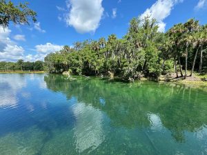 Blue Spring State Park Earth Day 2025 