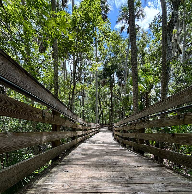 Boardwalk