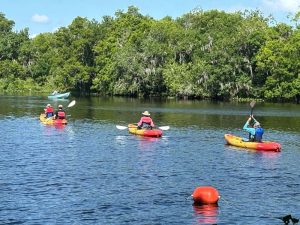 Blue Spring Kayaking Group