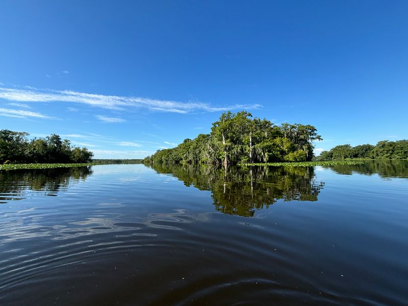 Blue Spring Iowa Paddle Through Paradise: May Kayaking at Blue Spring State Park | Blue ...