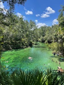 Blue Spring Swimming