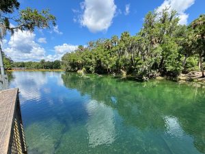 Blue Spring Views