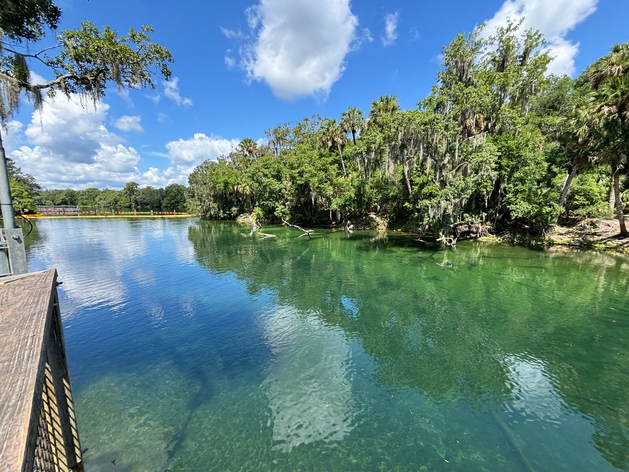 Mindfulness in Motion: Achieve Zen While Kayaking at Blue Spring | Blue ...