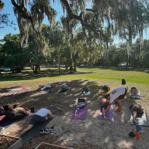Group visits at Blue Spring