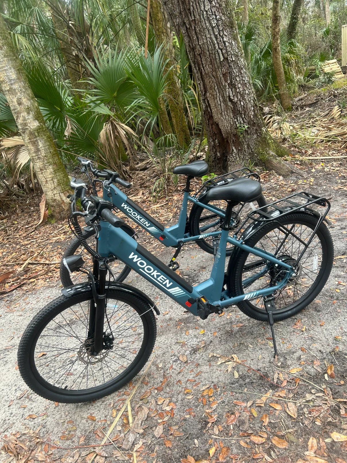 E-Bikes