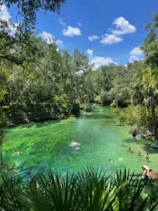 Blue Spring State Park spring