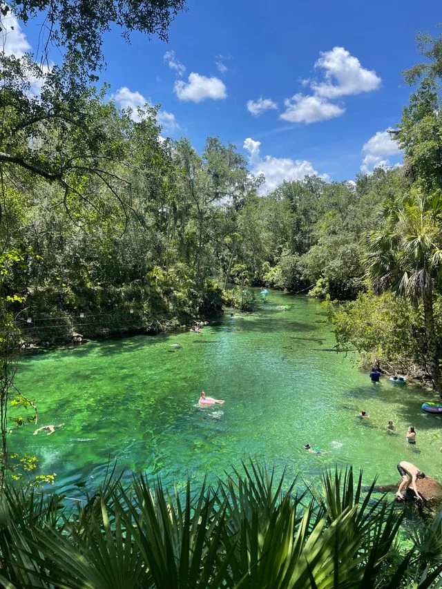 After the Manatees Leave: What Spring Unlocks at Blue Spring State Park ...