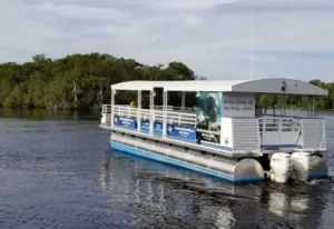 Blue Spring State Park boat tour