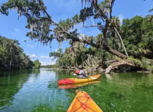 things to do near Orange City FL