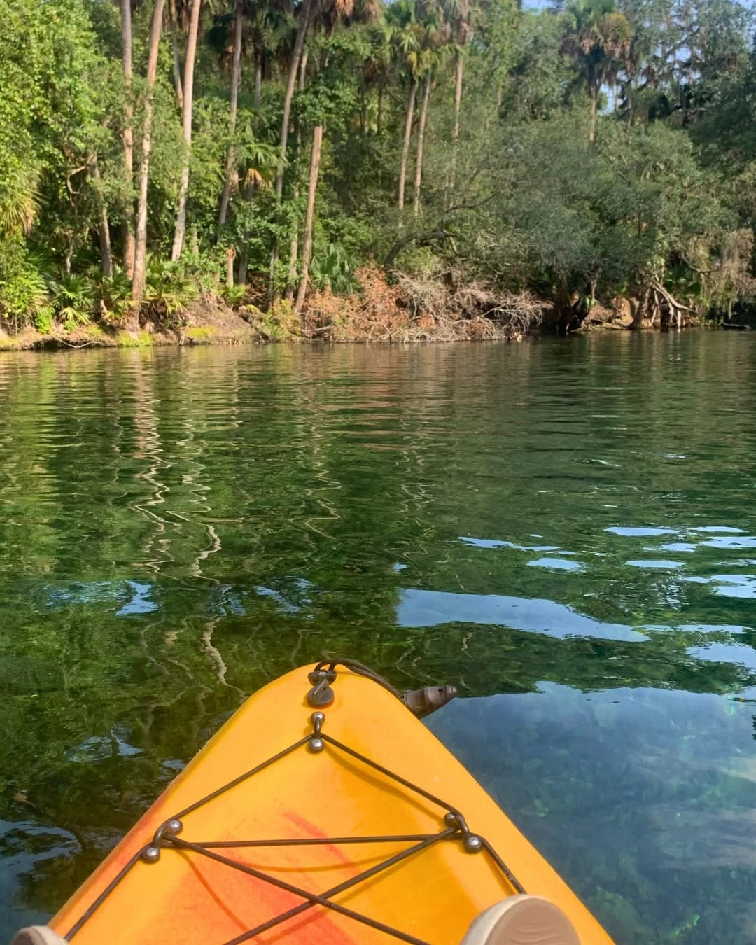 Evening activities in Blue Spring State Park