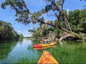 guided kayak tour Blue Spring Florida