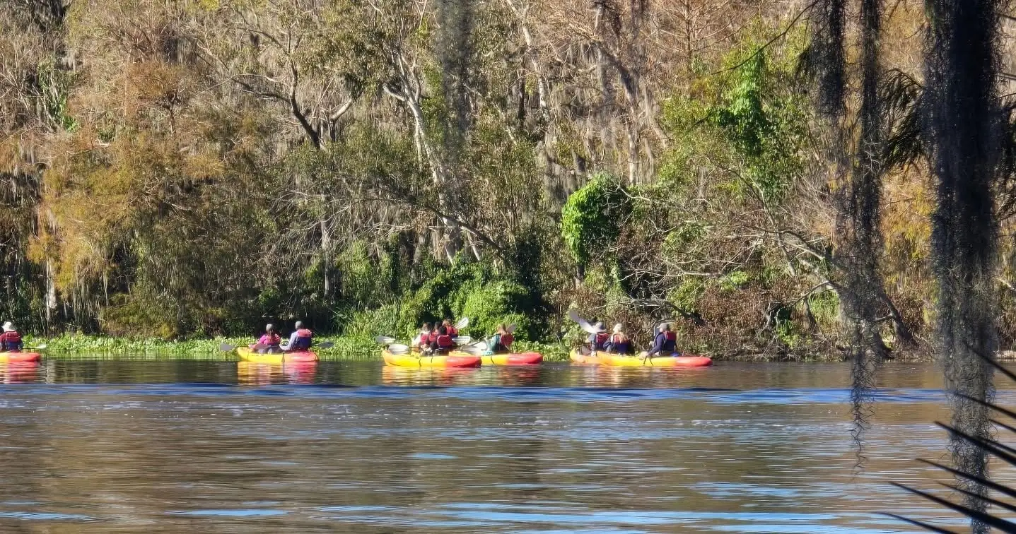 Night kayak tour in St Johns River
