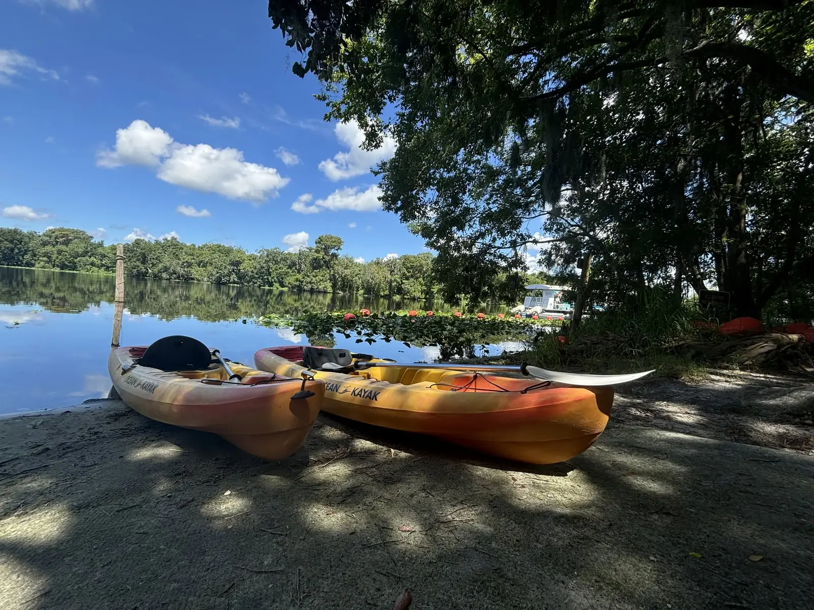 Things to do at night in Orange City, FL